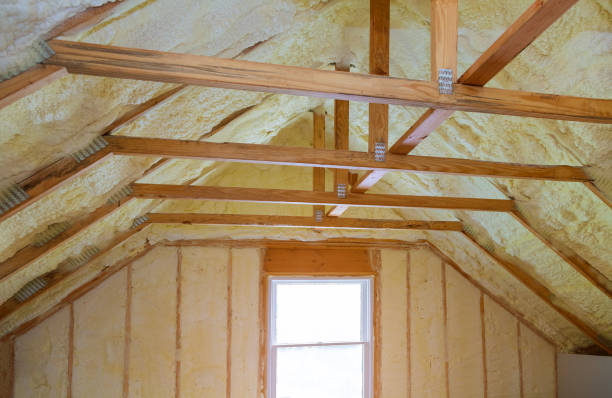 Best Energy Efficiency Solutions in Galveston, TX