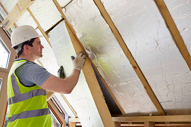 Best Insulation Installation Services in Galveston, TX