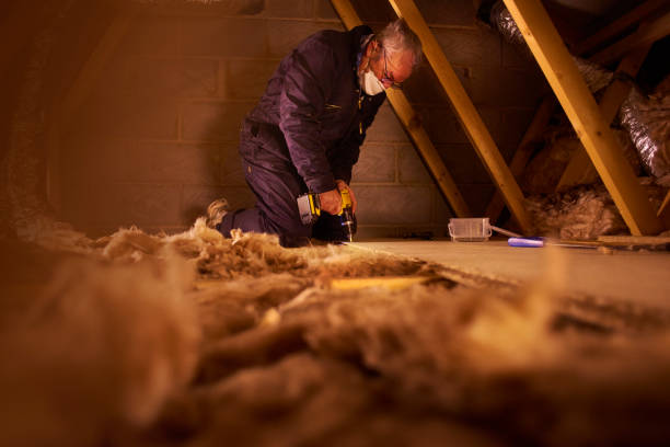 Best Insulation Maintenance and Repair in Galveston, TX