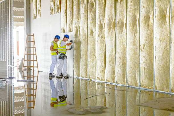 Professional Insulation Contractor in TX